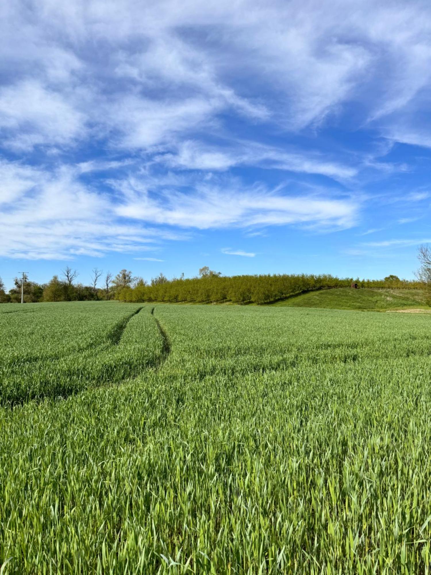 Am Flussgarten Eriskirch Kültér fotó