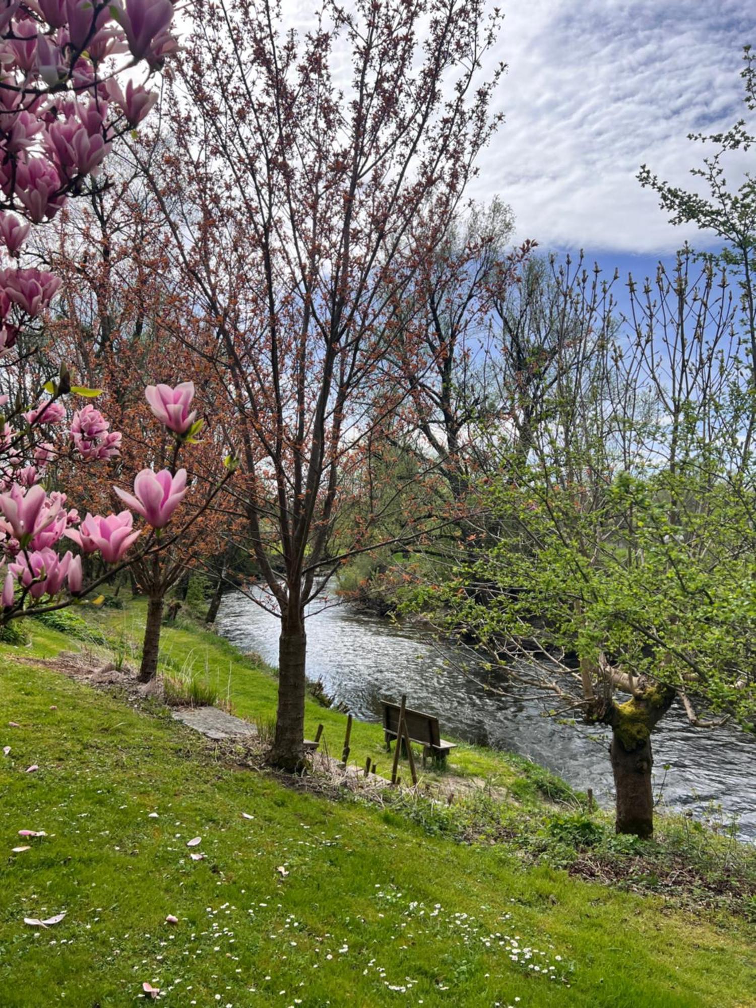 Am Flussgarten Eriskirch Kültér fotó