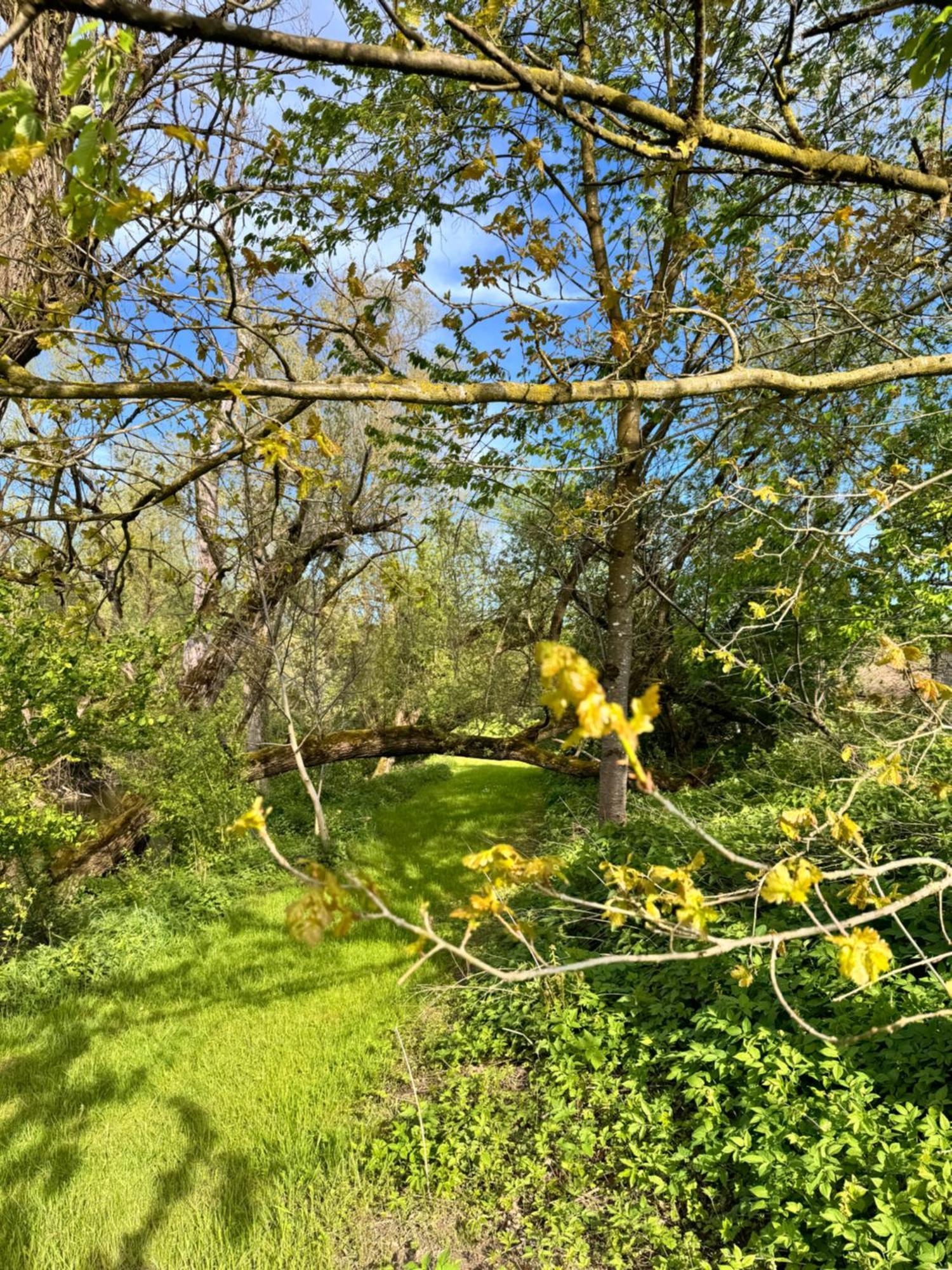 Am Flussgarten Eriskirch Kültér fotó