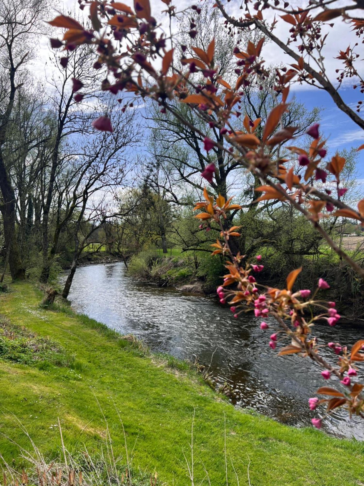 Am Flussgarten Eriskirch Kültér fotó