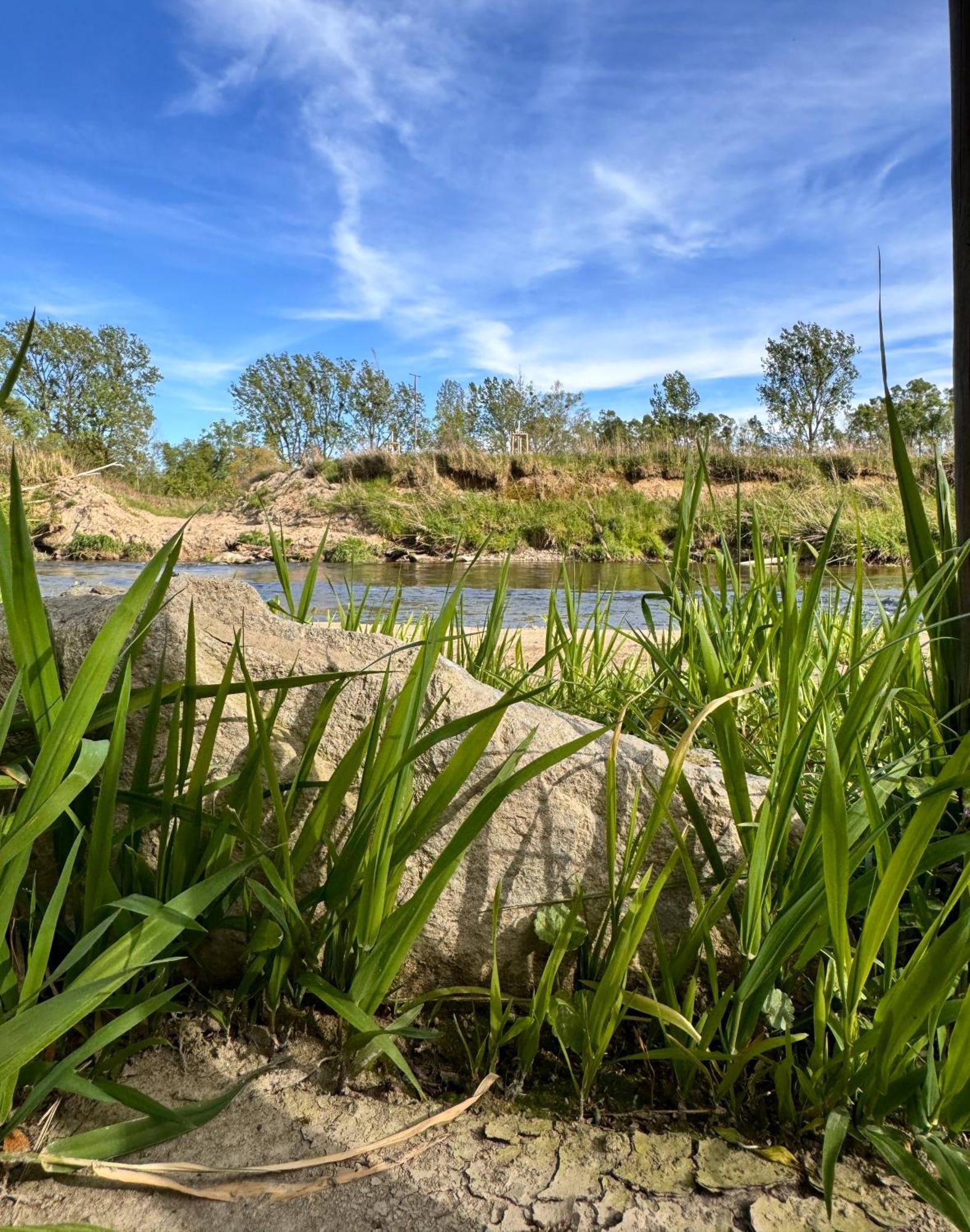 Am Flussgarten Eriskirch Kültér fotó